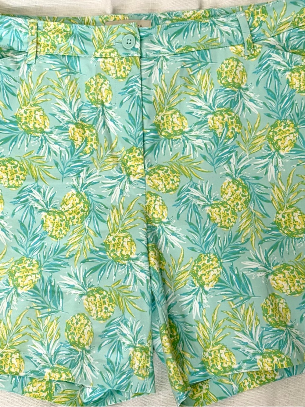 Talbots Mint & Aqua Tropical Print Shorts Size 16
